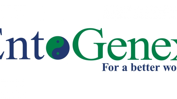 EntoGenex_cores